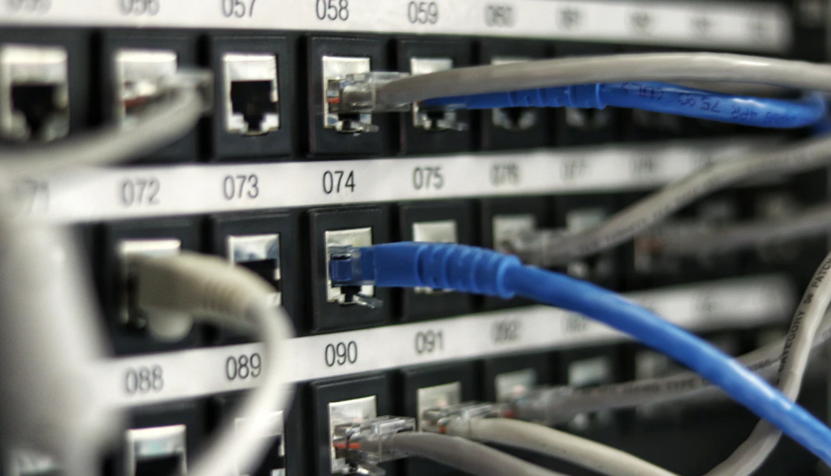 Blue and grey Ethernet cables connected to a network panel